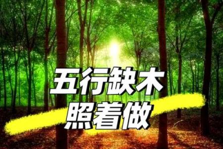 八字缺木如何补救 如何补充八字缺木