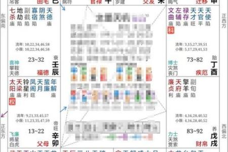 紫微斗数之四化论断法详释：　宫位太极变换