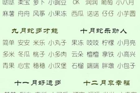 晚上12点出生的属蛇男孩怎样起名，宜用什么字姓名