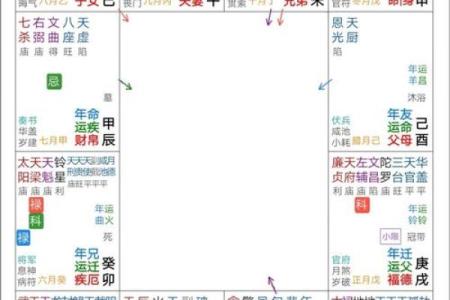 紫微斗数之预测灾厄：药物中毒灾祸