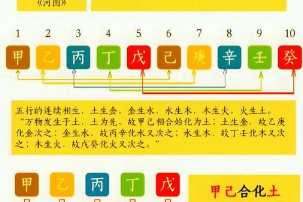 八字六合的午未是合化火还是合化土？