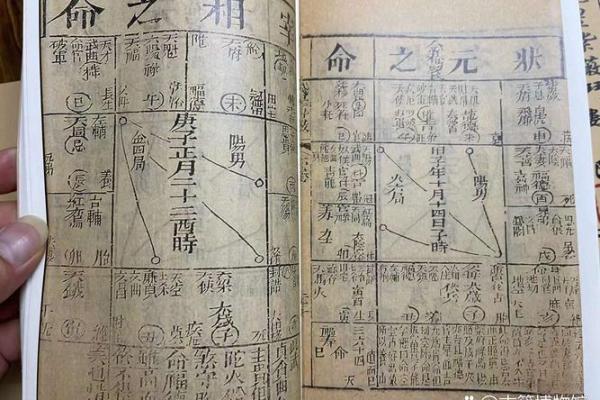 溥仪紫薇斗数