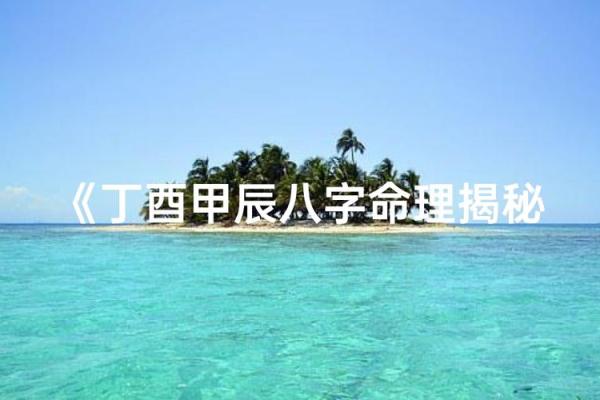 八字丁酉