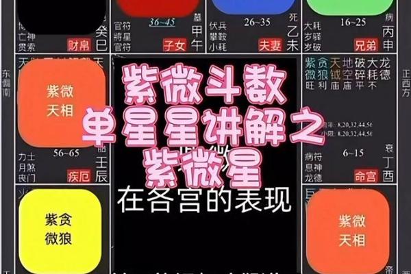 紫薇斗数网恋