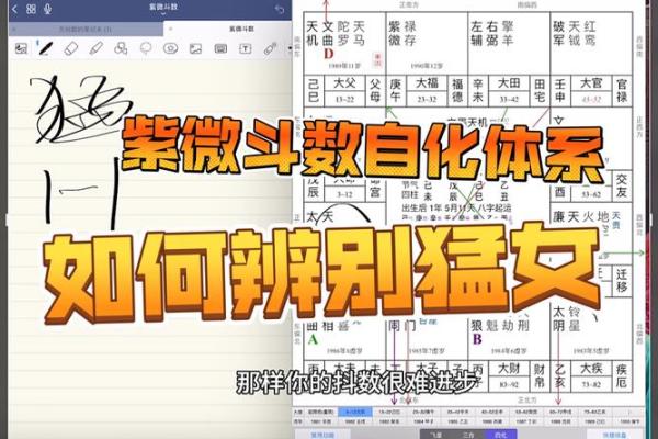 紫薇斗数网恋