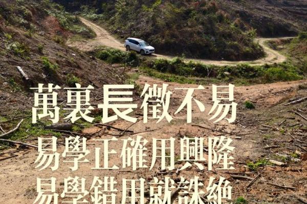 女人做梦迷路了有什么风水预兆