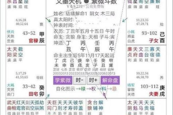 紫薇之术中的紫微斗数