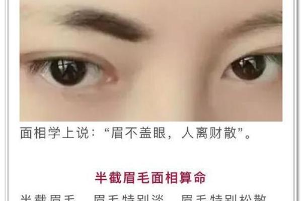 眉毛很浅在面相算命中是怎么说