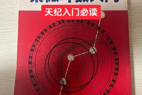 倪海厦天纪紫薇斗数排盘