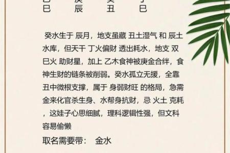 2024年12月14日出生的男宝宝八字命理 善言健谈欠缺沉着