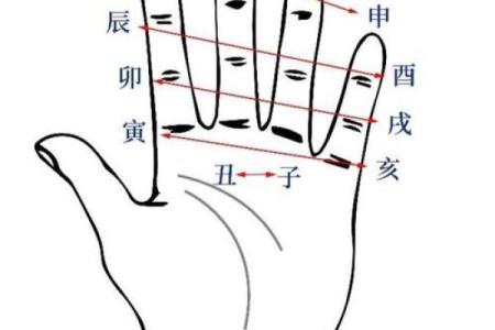 八字六合的午未是合化火还是合化土？
