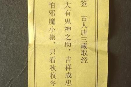吕祖灵签野草闲花