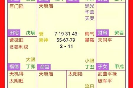 紫薇斗数断事业方向