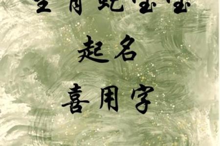 晚上10点出生的属蛇男孩要如何起名，宜用什么字姓名
