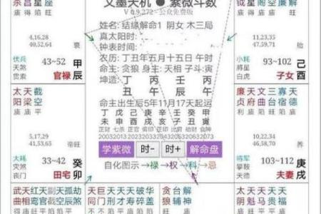 紫薇之术中的紫微斗数