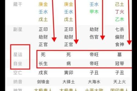 甲戌丙子己卯乙丑八字详解及运势分析