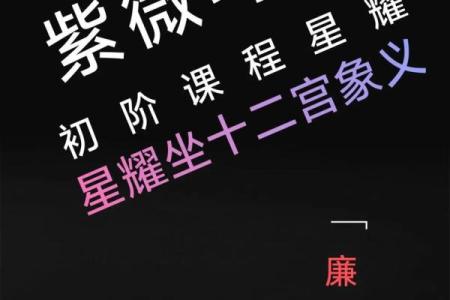 紫薇命盘疾厄宫廉贞天相