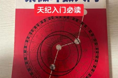倪海厦天纪紫薇斗数排盘