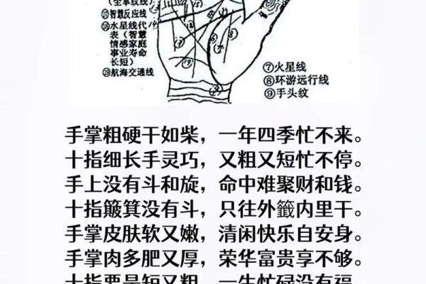 看手相算命图解
