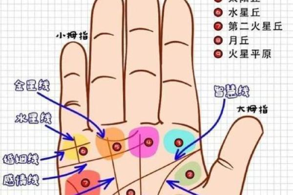 看手相算命图解