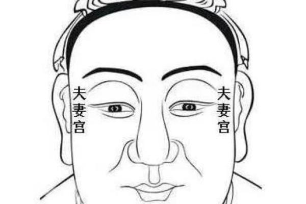 紫薇落在夫妻宫