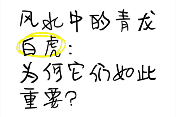 千万要避免的风水禁忌：青龙怕臭、白虎怕吵！