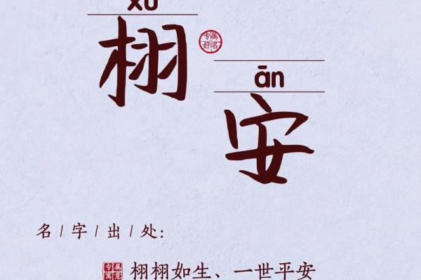 2019年5月19号子时出生的男孩起名方法姓名