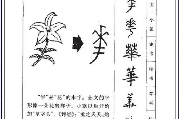 姓贾的名人-姓名学-华易算命网姓名