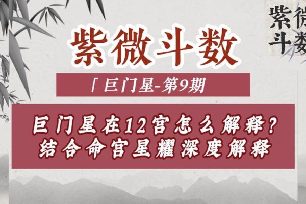 紫微斗数之诸星值限年运气推断:巨门星之年 紫微斗数之诸星值限年运气推断:巨门星之年