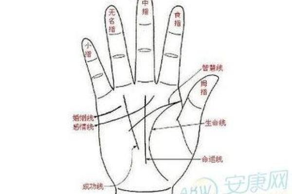 看手相算命：第六课 实际看