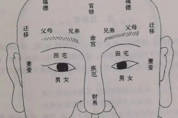 八字婚姻宫怎么看 教你如何看八字婚姻宫