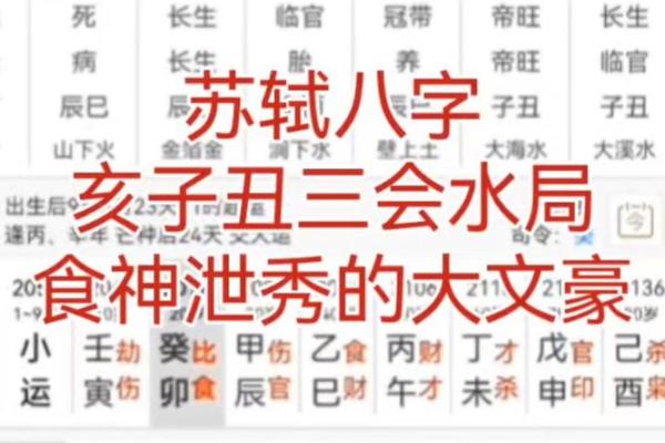 八字食伤的查法