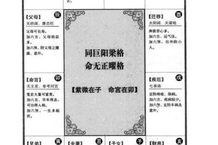 易经网算命