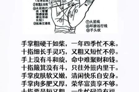 看手相算命图解