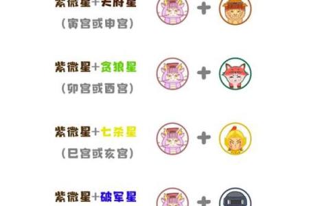 紫微斗数之各星曜所主行业：看六亲