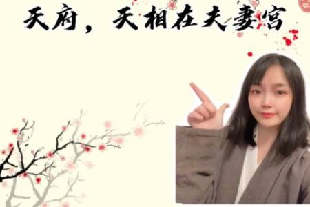 紫薇斗数夫妻宫带天府