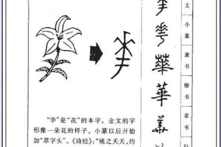 姓贾的名人-姓名学-华易算命网姓名