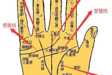 凯帝阿手相算命图解大全04