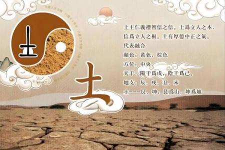 中国有名的八字大师