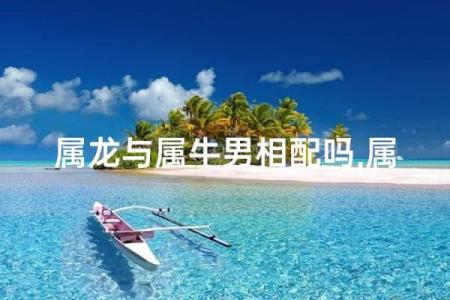 属龙和属牛的八字合吗