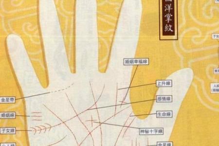 手相算命图解，手相图解大全