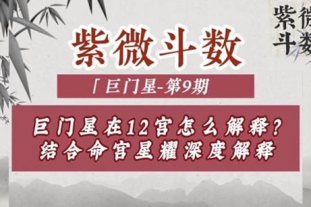 紫微斗数之诸星值限年运气推断：巨门星之年