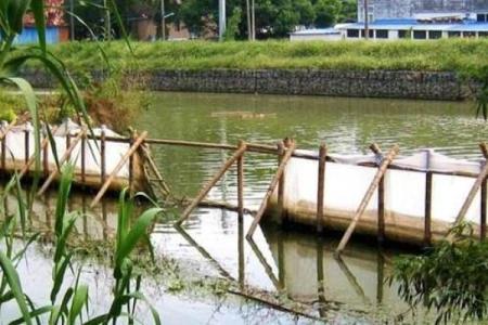 湖塘房子风水好不好呀