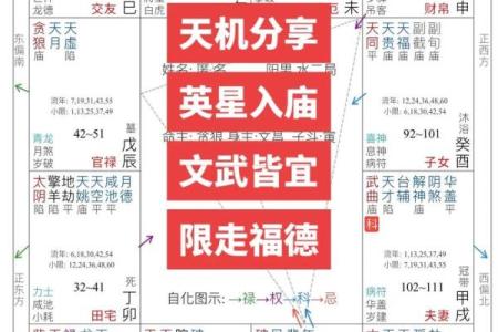紫薇斗数诀窍深谈
