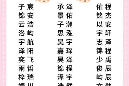 2019年3月24号辛时出生的男孩起名时要注意什么姓名