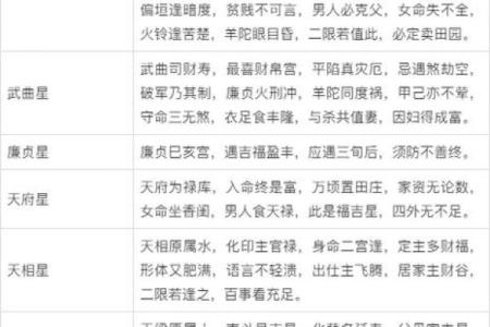 紫薇斗数命盘如何排