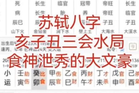 八字食伤的查法