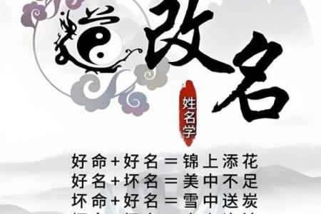 给品牌取一个有意味的名字-姓名学-华易网姓名