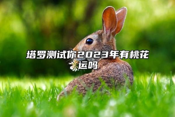 塔罗测试：三月你的桃花运？