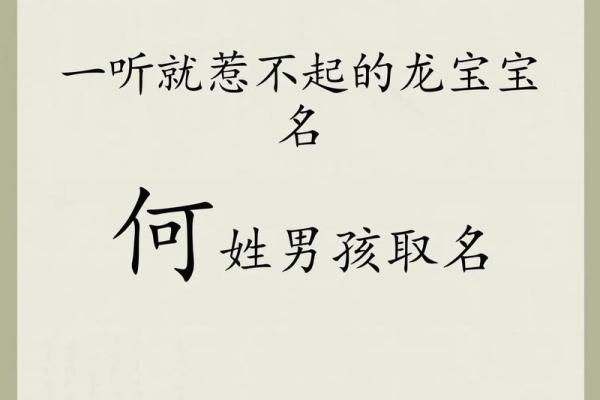 何姓男孩名字大全-何姓男孩起名字大全-何姓名字大全姓名